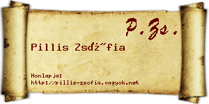 Pillis Zsófia névjegykártya